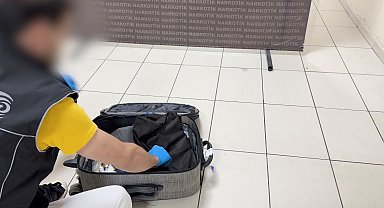 Batman'da akıl almaz sevkiyat yöntemi dedektör köpek Mailo'ya takıldı