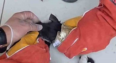 Batman'da yaramaz kedi kafasını tenekeye sıkıştırdı, itfaiye kurtardı