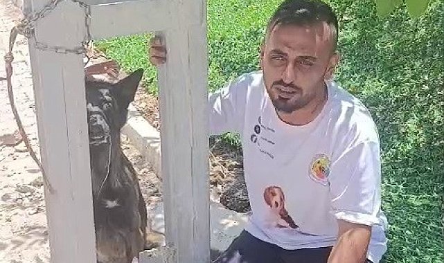 Belçika kurdunu zehirleyip direğe asarak telef ettiler