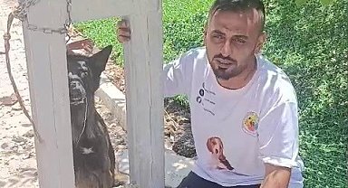 Belçika kurdunu zehirleyip direğe asarak telef ettiler