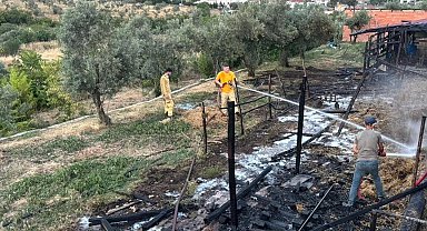 Bilecik'te bir ahır çıkan yangında kül oldu