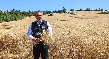 Bilecik'te bu yıl 335 bin dekar alanda 167 bin 500 ton buğday üretimi bekleniyor