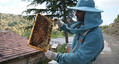 Bin 200 çeşit endemik bitki türüyle 4 kuşaktır süren gelenek: Kanyon balında 4 tonluk rekolte