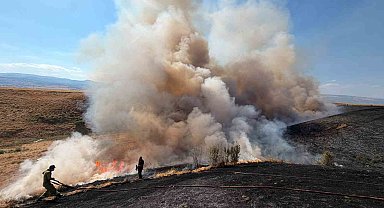 Bingöl'de arazi yangını: Bin dönüm buğday tarlası küle döndü