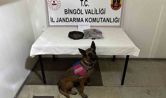 Bingöl'de haklarında kesinleşmiş hapis cezası bulunan 4 zanlı tutuklandı