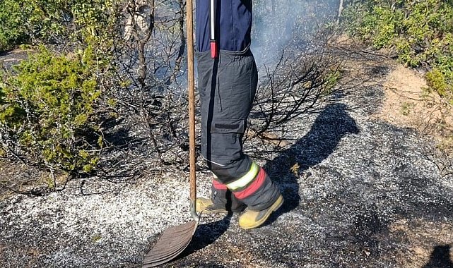 Bingöl'de yol kenarında çıkan yangın söndürüldü