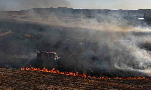 Bir izmarit faciaya yol açıyordu: Alevler mandıra ve evlere kadar ilerledi