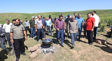 Bir zamanlar güvenlik nedeniyle kullanılamayan yaylalar, bugün hayvancılığın merkezi oldu