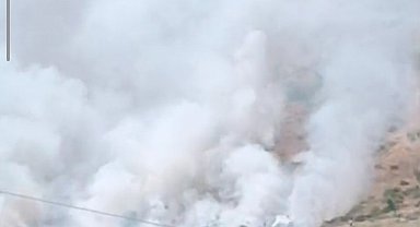 Bitlis'te dağlık alanda yangın: Binlerce arı telef oldu