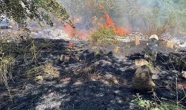 Bitlis'te peş peşe çıkan yangınlar paniğe neden oldu