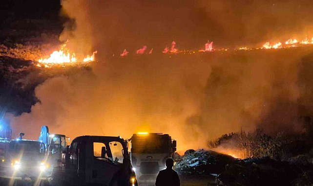 Bodrum'da makilik alanda yangın