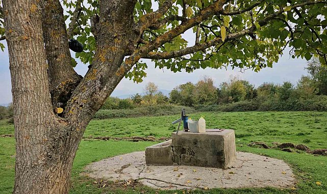 Boğarak öldürdüğü 17 yaşındaki Hasret'i kuyuya attığını itiraf eden sanığa ağırlaştırılmış müebbet