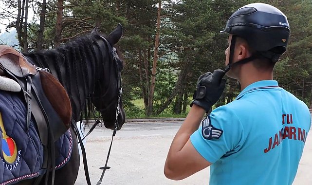 Bolu'da atlı jandarma timleri görev başında