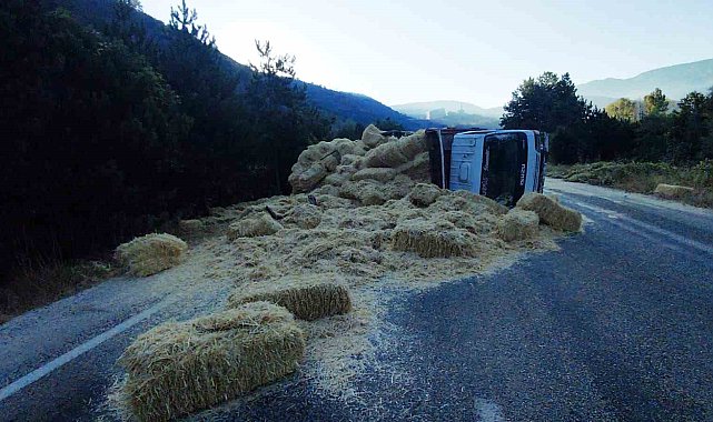 Bolu'da iki kamyon kafa kafaya çarpıştı: Samanlar yola saçıldı, 2 yaralı