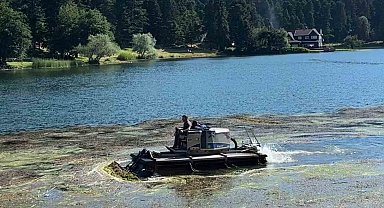 Bolu'nun doğa harikası Gölcük Tabiat Parkı'nın göl yüzeyi temizleniyor