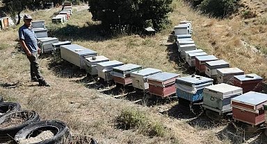 Burdur'da arılı kovanlar denetleniyor
