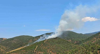 Burhaniye'de çıkan orman yangını kontrol altına alındı
