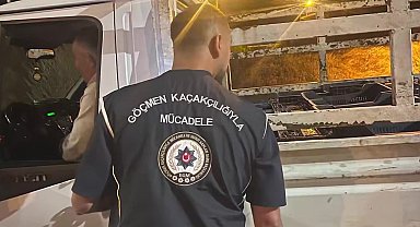 Bursa'da göçmen kaçakçılığı denetimi: 4 düzensiz göçmen yakalandı