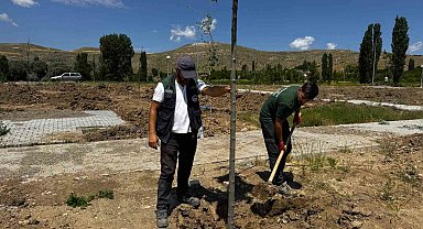 Büyükşehir'den Şahruh Köprüsü yanına dev etkinlik alanı
