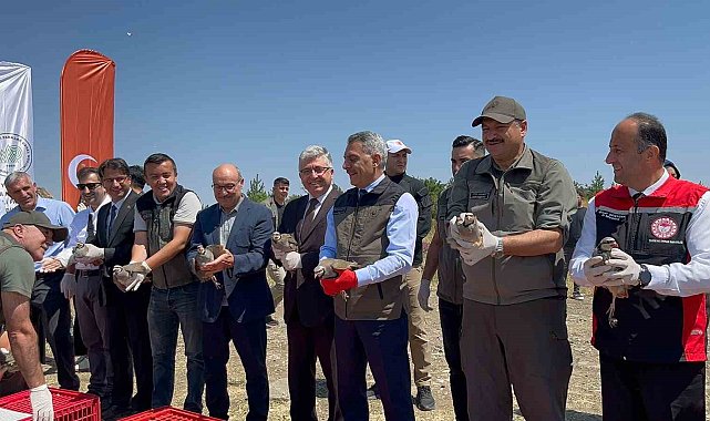 Çamlık Milli Parkı'nda bin keklik doğaya kanat çırptı