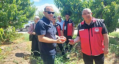 Çanakkale'de bitkisel üretim projeleri değerlendirildi
