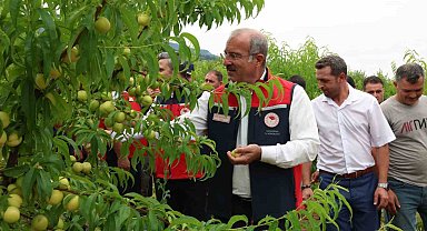Çanakkale'de coğrafi tescilli Bayramiç Beyazının hasadı başladı