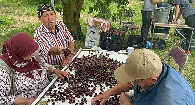 Coğrafi işaretli Akşehir ve Sultandağı kirazlarında tarihi rekor kırıldı