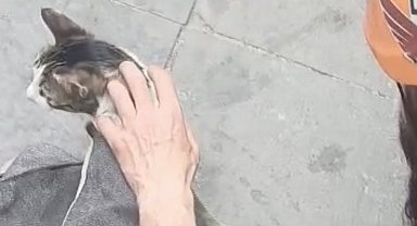 Dar alanda sıkışan kediyi DAK ekipleri kurtardı