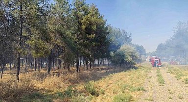 Dicle Üniversitesi yerleşkesinde örtü yangını
