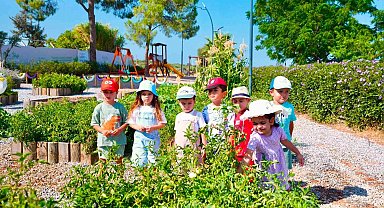 Didim Belediyesi Tarım Parkı'nda minikler hasat deneyimi yaşadı