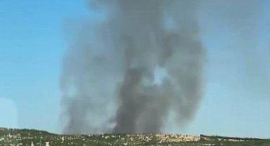 Diyarbakır'da ağaçlık alanda yangın