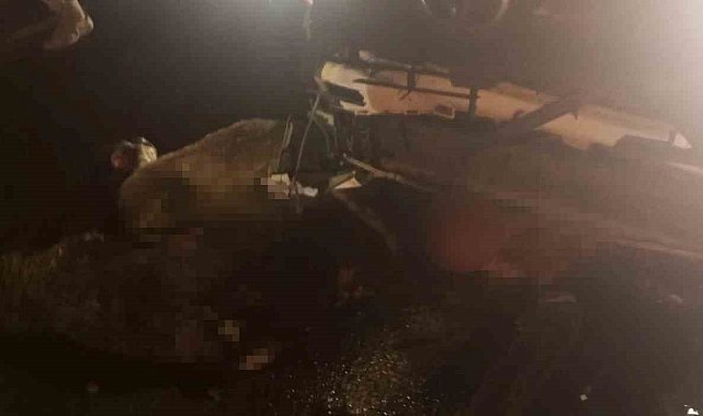 Diyarbakır'da aracın daldığı sürüdeki 15 koyun telef oldu