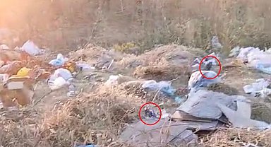 Diyarbakır'da boş arazideki çöpler fare yuvasına döndü