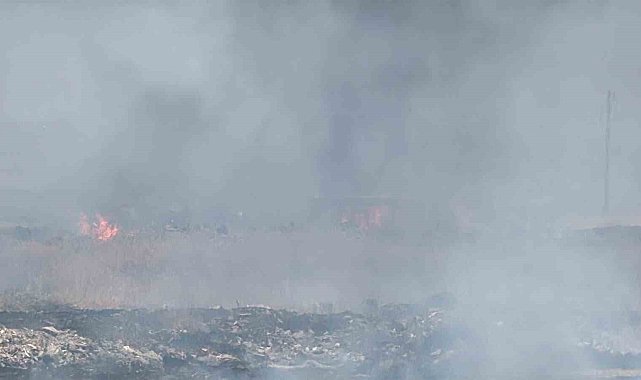 Diyarbakır'da otluk alanda korkutan yangın