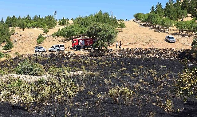 Diyarbakır'da yüksek gerilim hattına çarpan kuş yangına neden oldu