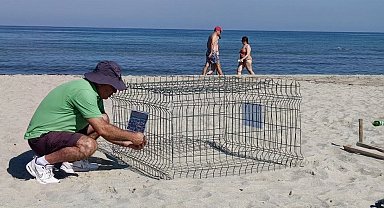 Duyarlı gençlerin ihbarı sayesinde, caretta yuvası koruma altına alındı