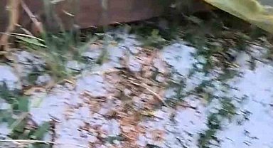 Edirne'de dolu yağışı etkili oldu