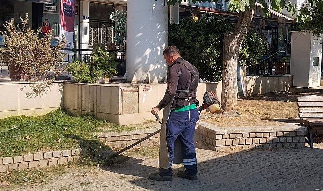 Efeler Belediyesi'nden yeşil alanlarda çalışma