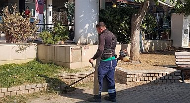 Efeler Belediyesi'nden yeşil alanlarda çalışma