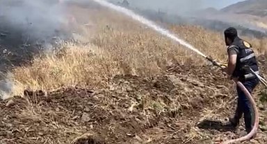 Elazığ'da 35 dönüm ekili alan küle döndü
