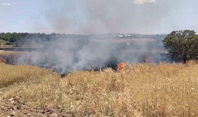 Elazığ'da arazi yangını ekiplerin müdahalesi sürüyor