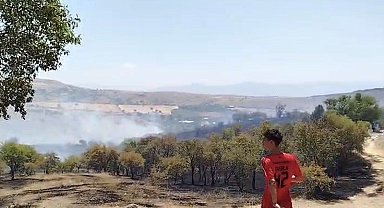 Elazığ'da çıkan yangın söndürüldü