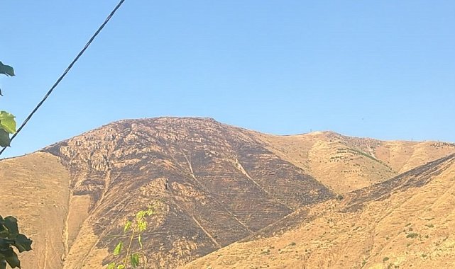 Elazığ'da dağlık alanda çıkan yangın söndürüldü