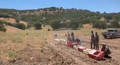 Elazığ'da kenelerle mücadele için doğaya keklik bırakıldı
