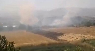 Elazığ'da otluk alanda yangın