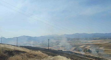 Elazığ'daki yangında 40 dönümlük arpa küle döndü