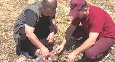 Emet'te alevlerin arasından kurtarılan kaplumbağa yürekleri ısıttı