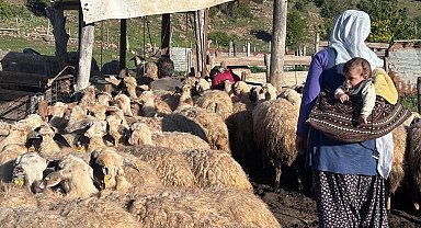 Erzincan Tulum Peyniri yaylalarda geleneksel yöntemlerle üretiliyor