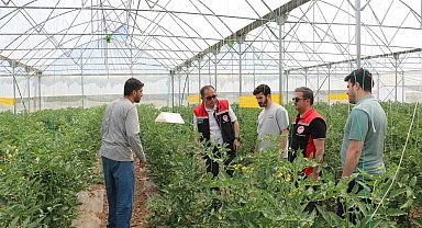 Erzincan'da seracılık faaliyetleri yerinde incelendi