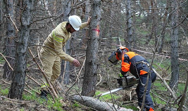 Erzurum'un akciğerlerine planlı dokunuş